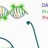 Fluorescence In Situ Hybridization FISH Application Of FISH Clinical Relevance Of FISH