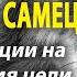 Я Альфа самец Позитивные аффирмации на каждый день для мужчин слушать онлайн