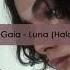 Madame Gaia Luna Halcon Remix