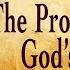 CATHOLIC MEDITATION Friday 22 November 2024 33rd Week Ordinary Time Year B