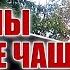 Высокие вибрации на дольменах Караталы глюкофон поющие чаши Музыка для глубокой медитации