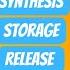 SYNTHESIS STORAGE RELEASE AND METABOLISM OF ADRENALINE SJPHARMA SAHADEOSAWAKE