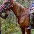 Happy Independent Life Of Self Sufficient Families In Remote Villages Of Russia