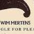 Win Mertens Struggle For Pleasure 1983