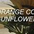 SUNFLOWER REX ORANGE COUNTY LYRICS