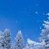 Beautiful Relaxing Music Peaceful Soothing Instrumental Music Winter Woods By Tim Janis