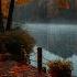 Lakeside Porch Ambience Autumn Rainy Morning And Bonfire Burning For Sleep Relax Rest