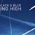 Mr Black Blue Flying High