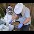 Young Beekeeper Armen Rostomyan Instructional Video For Beginners