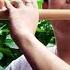 Cat Flute Sao Meo H Mong Vietnamese Instrument