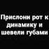 прислони рот к динамику и шевели губами