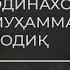 Малика Билқис ҳақида биласизми Сулаймон алайҳиссалом қиссаси