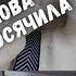 В жен консультация снова начудили Готовлю пастилу и сухофрукты