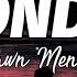 Shawn Mendes Wonder Lyrics