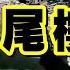 西安爛尾樓上熱搜 全國數百萬人深受其害 查閱大量案例 我發現了爛尾樓背後不能說的秘密 She S Xiaowu Ndwtb