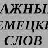 50 самых важных немецких слов с примерами Часть 1 Немецкий для начинающих