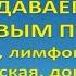 Шанкроид мягкий шанкр Венерическая лимфогранулема Донованоз