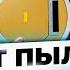 Робот пылесос в школе Попал на контрольную