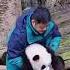 Qi Sanmei Climbed Onto The High Bracket In One Go And Grandfather Was Stunned Pandalovers Panda