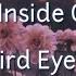 Deep Inside Of You Third Eye Blind Lyrics