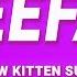 Rainbow Kitten Surprise Freefall It S Called Lyrics