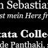 Cantata Collective Solo Excerpt Johann Sebastian Bach Wie Freudig Ist Mein Herz From BWV 199