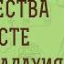 ПРОРОК МАЛАХИЯ ПРОРОЧЕСТВА О ХРИСТЕ Дмитрий Георгиевич Добыкин