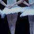 Swan Lake Dance Of The Little Swans Pacific Northwest Ballet