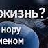 Когда начинается жизнь Сквозь кротовую нору с Морганом Фрименом Discovery