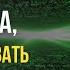 Выход из матрицы Как реализовывать свои права а не доказывать Макс Богданович