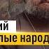 Не пренебрегай знанием от Бога Протоиерей Андрей Ткачёв