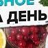 Что есть на завтрак обед и ужин Правильный рацион питания и меню на день от нутрициолога