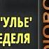 Аудиокниги S T I K S Человеческий улей Аудиокниги слушать