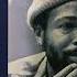 Marvin Gaye Got To Give It Up 1977 Disco Purrfection Version