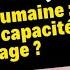 La Mémoire Humaine Quelle Est Sa Capacité De Stockage