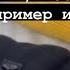 Как через одну точку в животе восстанавливать кишечник позвони к ноги пример из практики учимся