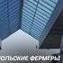 Польские фермеры снова ополчились на Украину польша украина политика новости