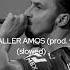 Amo AMO ALLER AMOS Slowed No Reverb Prod Von Chekaa