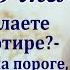 СТЕРВОЧКА Жизненный аудио рассказ Ирина Кудряшова