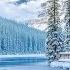 Beautiful Peaceful Music Relaxing Music Winter S Calming Music For Relax Sleep Study