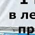 ЗАГРУЗИЛ 1 ТОННУ в легковой прицеп КРЕМЕНЬ 31 реальный отзыв по итогам испытания грузом