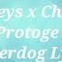 Alicia Keys X Chronixx X Protoge Underdog Remix Lyrics