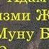 Адам Организми Жонундо Сиз Билбеген Кызыктуу Фактылар 2018