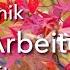 Bonsai Herbstarbeiten Und Vorbereitungen Auf Den Winter Autumn And Winter Works Engl Subtitle