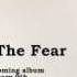 Lily Allen The Fear Official Audio