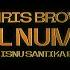 Chris Brown Angel Numbers Whisnu Santika Edit