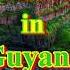 TOP 10 Places To Visit In Guyana