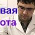 Никотиновая кислота применение показания и противопоказания