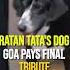 On Cam Ratan Tata S Beloved Dog Goa Bids Farewell To The Dog Loving Industrialist