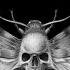 Death Angel THE MOTH From The New Album The Evil Divide